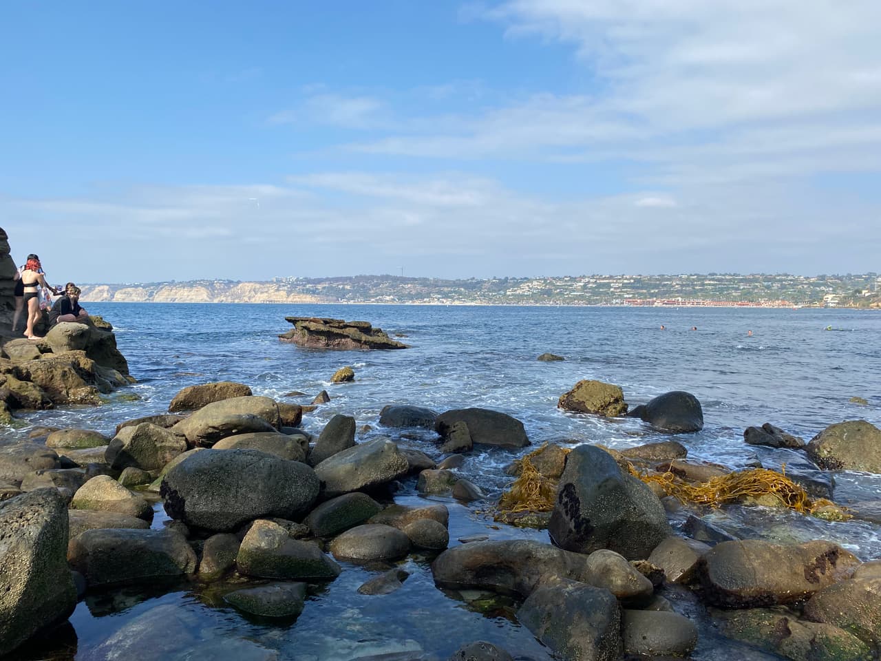Los más audaces no pierde la oportunidad de nadar muy cerca de las amigables focas.