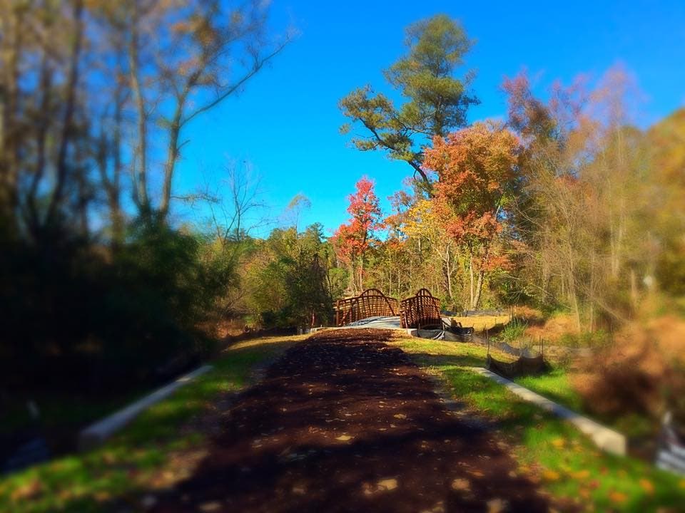 <b><a href="https://www.hollyspringsnc.us/320/Bass-Lake-Park">Número 3: Bass Lake Loop Trail</a></b>. Este es un circuito panorámico de 0.9 millas extremadamente fácil que no está pavimentado pero es adecuado para sillas de ruedas y carritos de bebé (no se permiten bicicletas ni caballos).