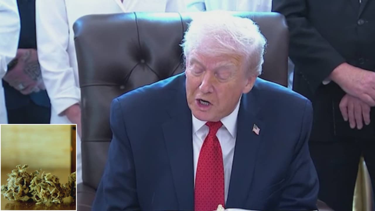 Donald Trump reclasifica la marihuana; ¿qué cambiaría en Texas?