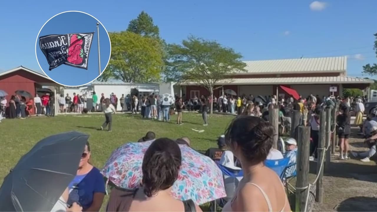 La nueva Knaus Berry Farm abre sus puertas en Redlands: ofrece más capacidad y estacionamiento