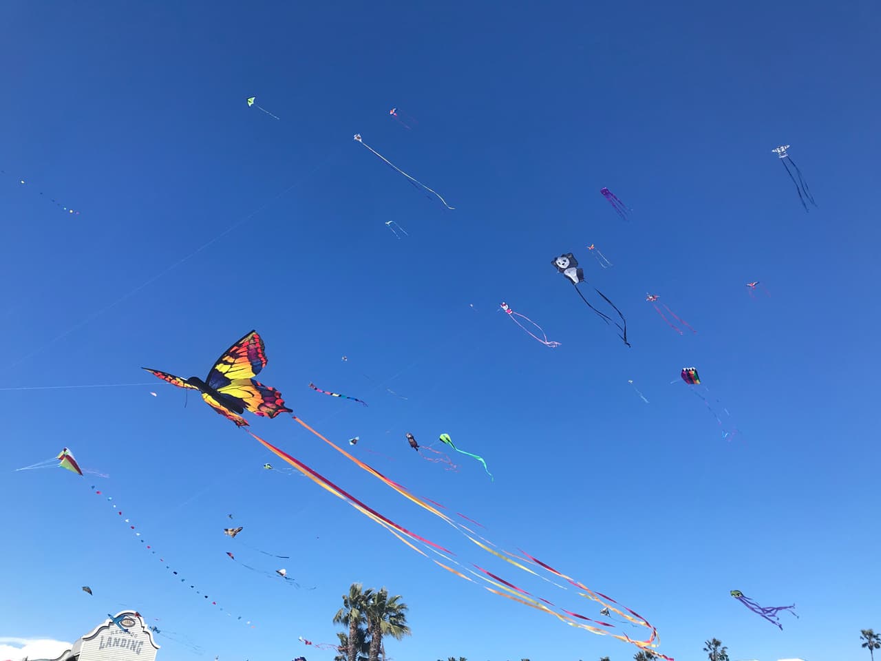 <b>Livingston Kite Festival</b>
<br>Domingo, 7 de abril, 2018, 8 am- 4 pm
<br>Livingston Middle School 101 F Street Livingston, CA
<br>