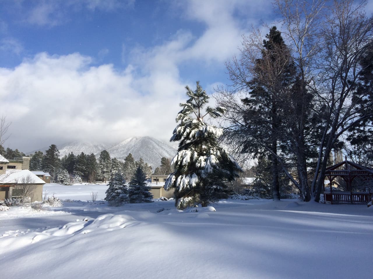 Residentes del norte de Arizona y personas que tengan planeado viajar al norte, deben tener precaución porque los caminos se encuentran muy resbalosos.
