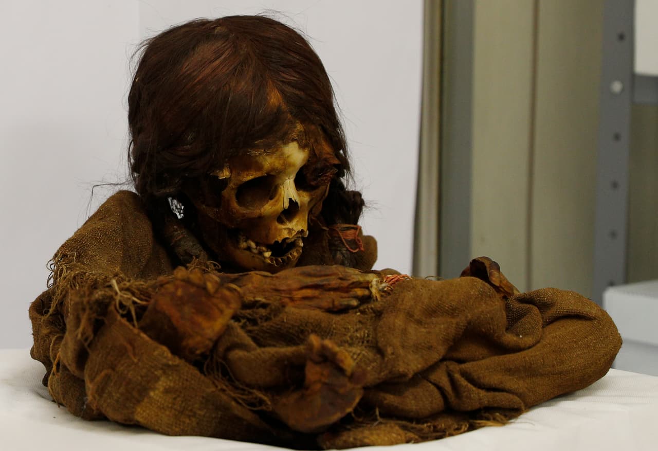 <b>Cinco siglos de antigüedad.</b> La momia de una pequeña niña de ocho años de origen inca regresó a Bolivia después de 129 años, 
<b>luego de que en 1890 el hijo de un diplomático estadounidense la sacara ilegalmente del país</b>. Aunque la fecha de nacimiento y muerte de la menor se desconoce, de acuerdo con información de la agencia Associated Press se calcula que los restos podrían tener una antigüedad de cinco siglos. 
<br>