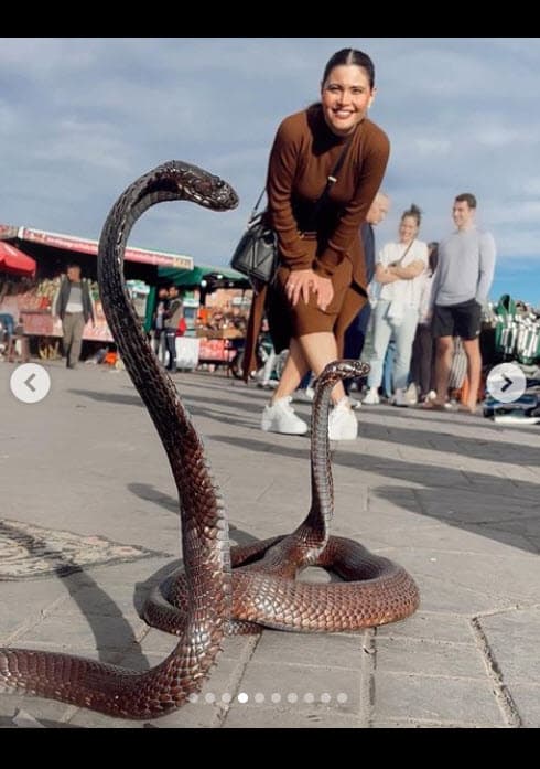 Se trató de esta en la que al fondo se ve a Jorge Ramos y al frente a la presentadora de
<b>Mira Quién Baila All Stars</b> observando a unas serpientes. La imagen causó estupor en más de alguno de los seguidores de la también actriz.
<br>