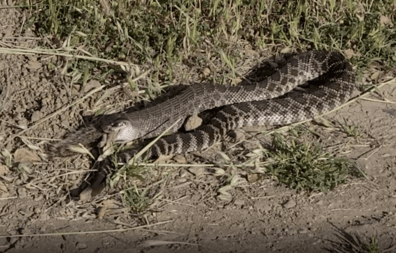Sin embargo, siempre es recomendable traer contigo un pequeño kit de primeros auxilios en caso de una emergencia.