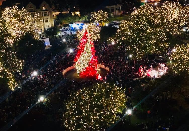 Llega la fiesta navideña a San Antonio: el árbol de Navidad llega al Parque Travis 
