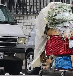 NYC pone su mirada sobre la desamparada "Choo Choo"