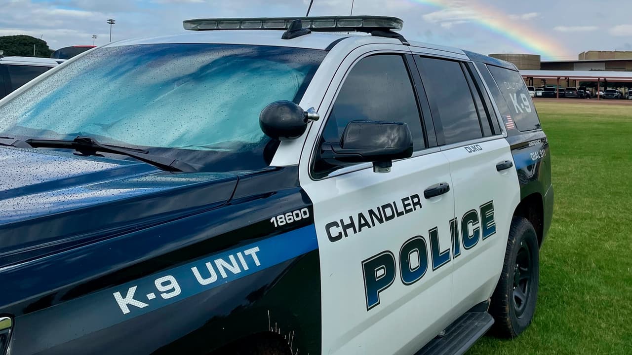 Así fue como un agente canino logró localizar y detener a un sospechoso en Chandler