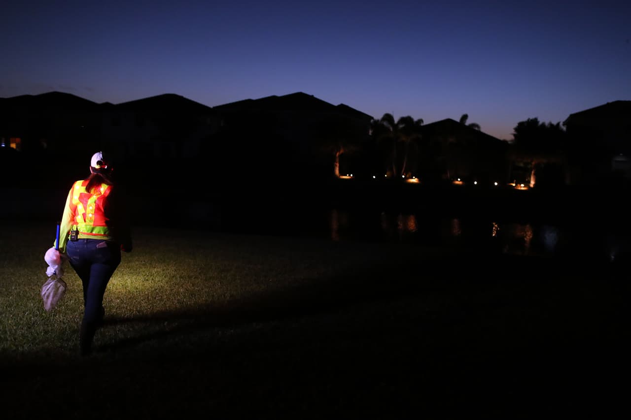 Los residentes del vecindario de Palm Beach Gardens temen que las toxinas secretadas por los sapos dañen a sus mascotas o a sus niños.