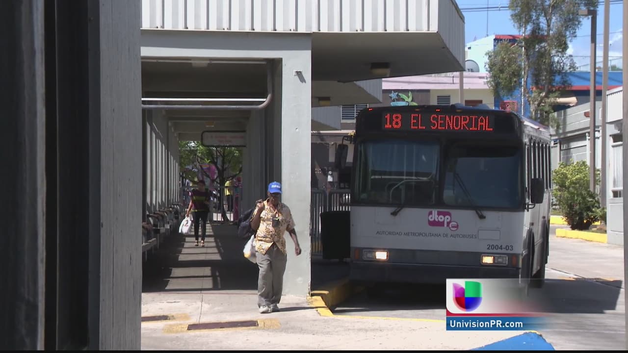 Buscan fomentar el transporte colectivo en la isla