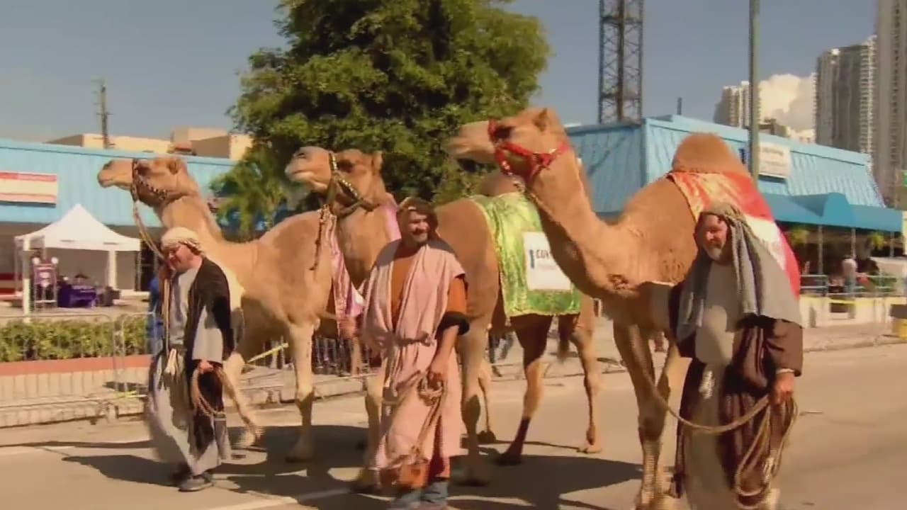 ¡No te pierdas la primera carrera de los Tres Reyes Magos!