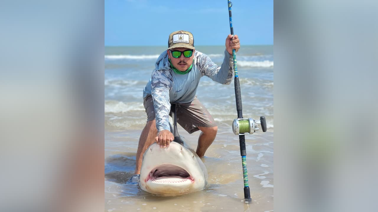 José Costilla logró atrapar un
<b>enorme tiburón de 9 pies</b> hace unos días. López asegura que no es un trabajo fácil, se están enfrentado a una enorme criatura marina, la labor requiere tiempo pero sobre todo una excelente condición física.