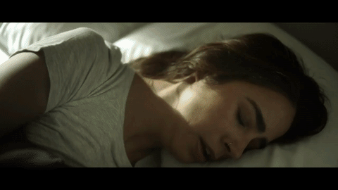 'American Horror History: Roanoke' desatará el torcido legado de 'The Lost Colony of Roanoke', con la que transportará la mente de los visitantes hacia bosques embrujados localizados en Carolina del Norte, donde experimentarán el terror que ha atormentado al pueblo a través de los siglos.