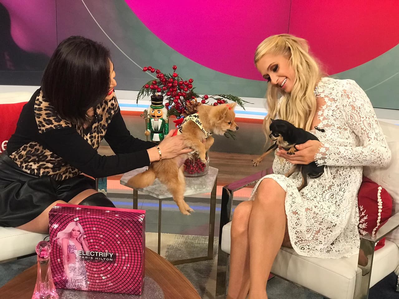 Bombom encontró un nuevo amigo en el estudio. La perrita de la casa quiere saltar a las altas esferas de la sociedad estodounidense haciéndose de amigos poderosos como el pequeño de Paris Hilton.