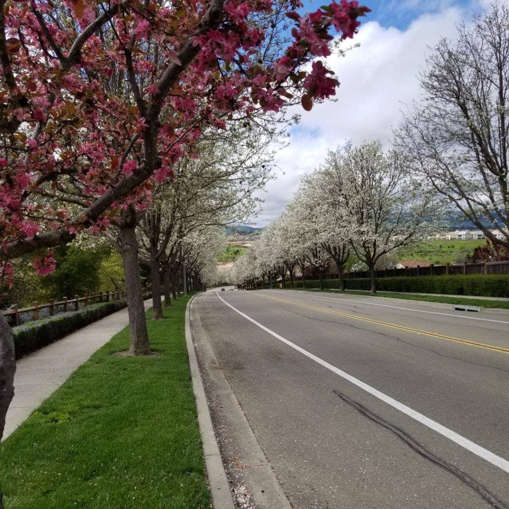 <b>San Ramón </b>es una ciudad del condado de Contra Costa, en el norte de California. Ocupa el lugar 6 del estudio
<br>
<br>
<b>Población:</b> 76,325
<br>
<b>Salario promedio: </b>$142,718
<br>
<b>Tasa de crimen violento: </b>0.73 por cada mil habitantes
<br>
<b>Tasa de crimen a la propiedad: </b>12.76 por cada mil habitantes