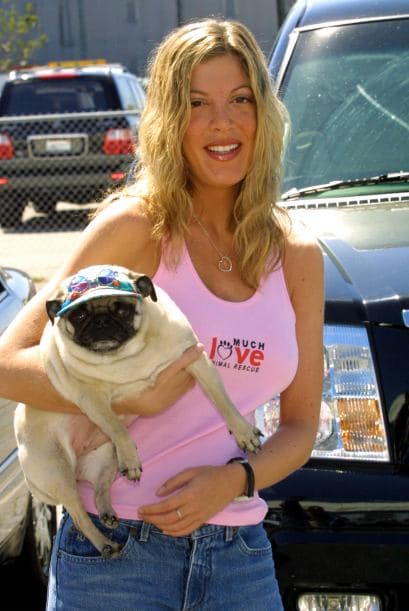 Durante varios años se le criticó que estaba bastante flaca, levantando rumores de que era anoréxica. (Y también cargaba con su perrito para todos lados, ¡qué cute)