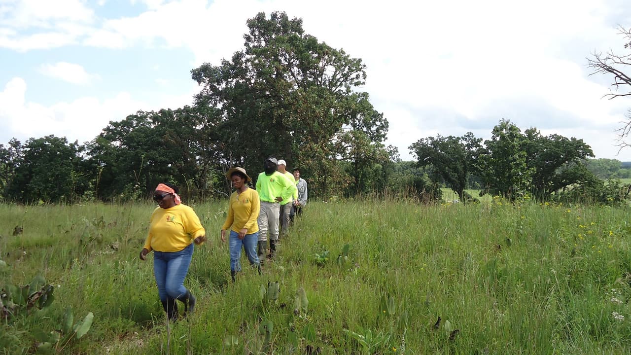 <b>Greencorps Chicago</b>
<br>Greencorps Chicago se enfoca en 
<b>jóvenes de 15 a 18 años</b> que buscan 
<b>prepararse para el trabajo</b>. Aquí pueden entrar en contacto con oficios, profesionales y lugares enfocados en la sustentabilidad.