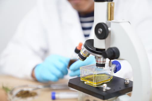 Universidades y centros educativos cancelan sus clases este viernes en Austin 