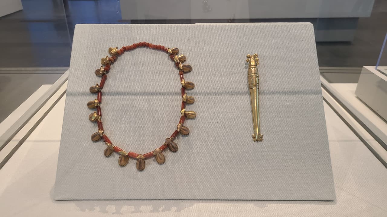 En total 227 piezas fueron traídas desde Bogotá.