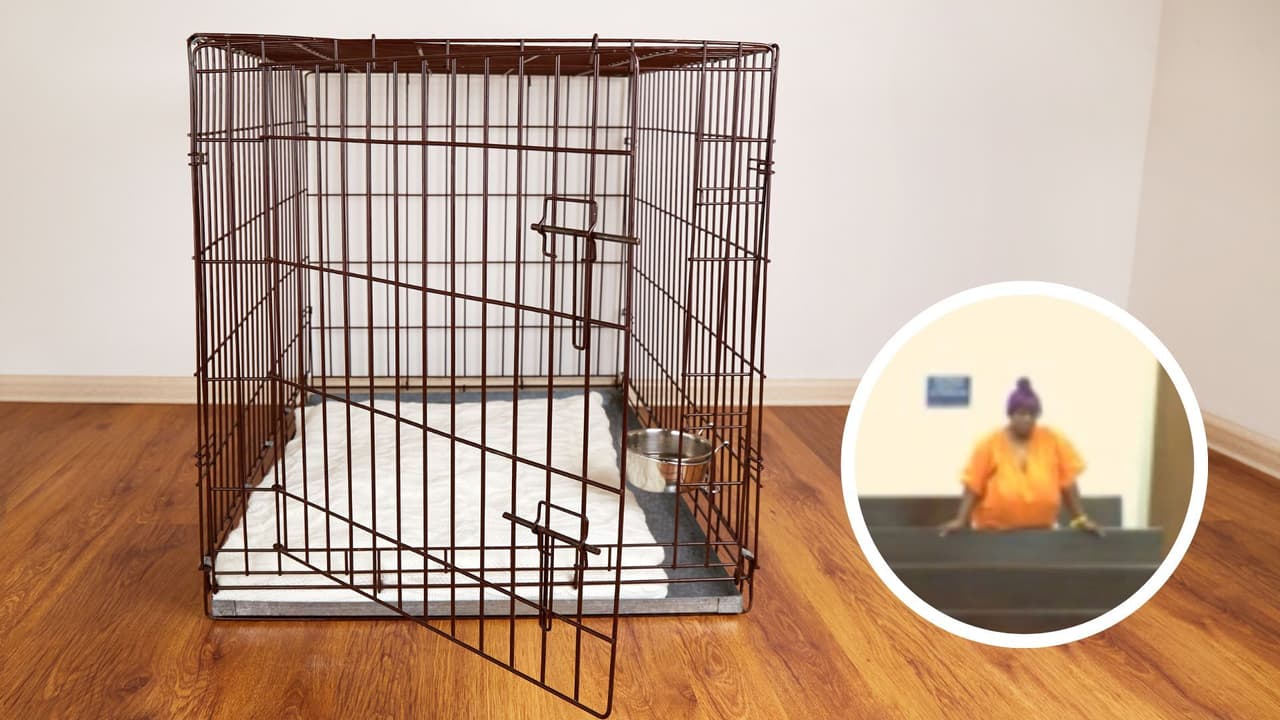 Estuvo varias horas amarrada y sin comida: Una mujer es acusada de dejar a una niña de 7 años en una jaula para perros
