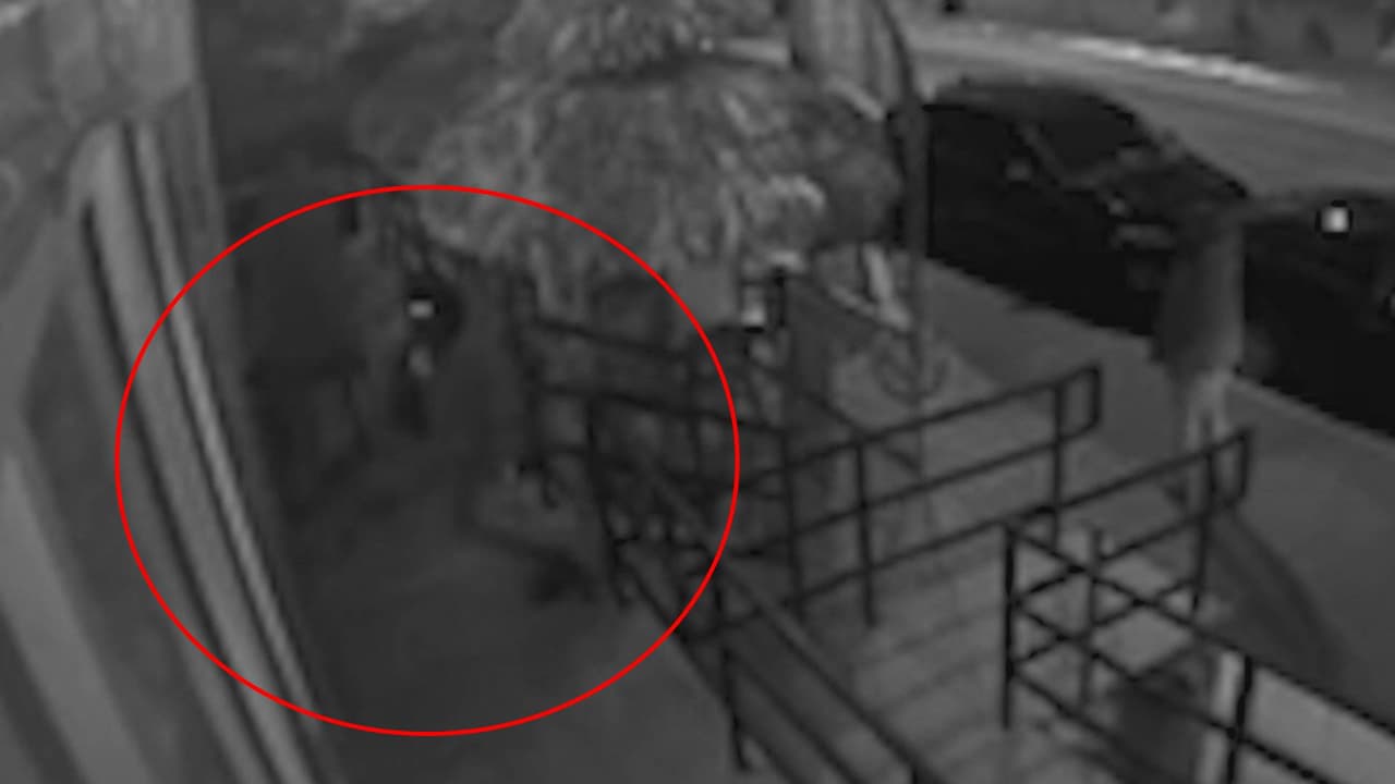 Dueños de negocios latinos en Washington DC son afectados por robos y vandalismo