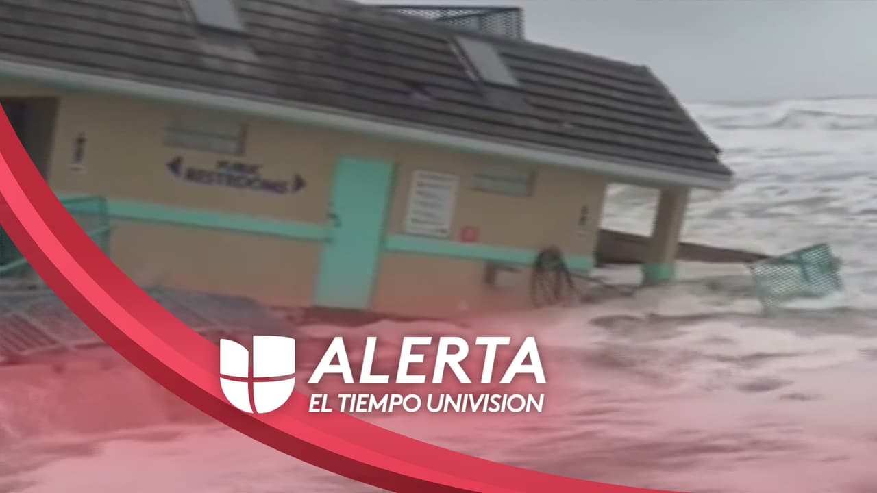 Huracán Nicole obliga al condado de Hillsborough a suspender el servicio de recolección de basura