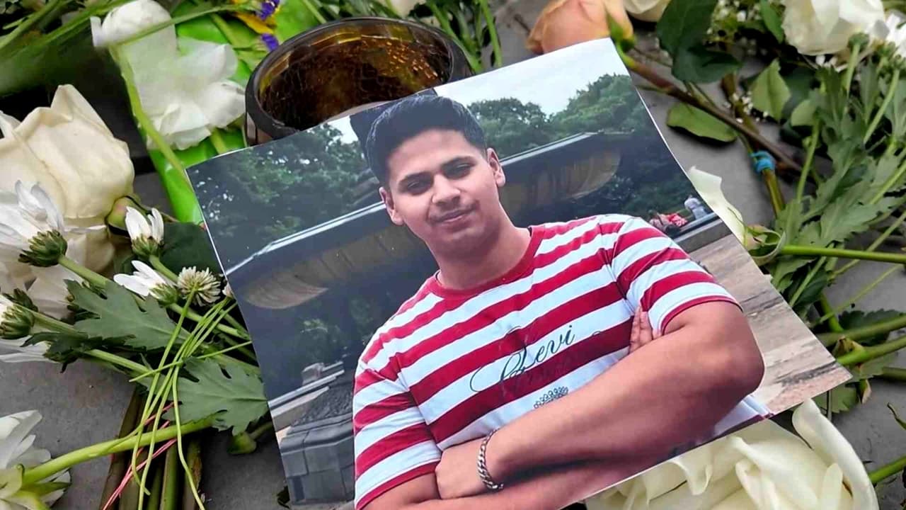 Muerte de turista reaviva debate sobre los carruajes en Nueva York