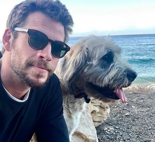 Las fotos de la estrella de 
<b><a href="https://www.univision.com/networks/unimas/el-epico-final-de-the-hunger-games-video" target="_blank">'The hunger games'</a></b> también se suscitaron después del acuerdo de divorcio al que llegó con su ahora expareja. Fueron 
<b><a href="https://www.univision.com/famosos/ya-lo-supero-miley-cyrus-bromea-en-instagram-sobre-su-corto-matrimonio-con-liam-hemsworth-fotos" target="_blank">esposos por casi 8 meses </a></b>y después de una década de relación con altas y bajas. 
<br>