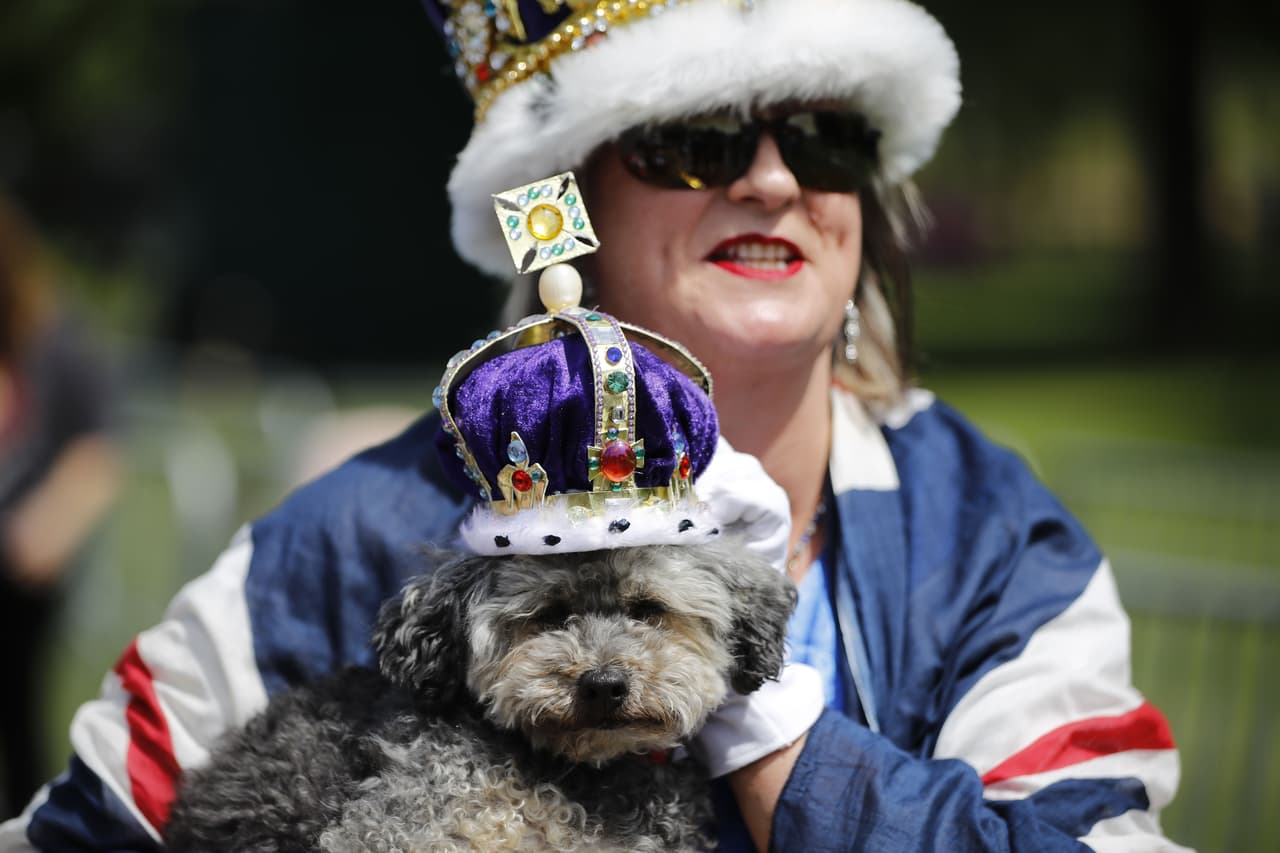 Aunque no todas andan como plebeyos en los alrededores del castillo; a este perrito se aseguraron de vestirlo con todo y corona.