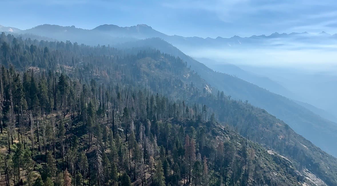 Las mejores temporadas para visitar este tesoro natural son la primavera y el otoño. Sin embargo, puedes asistir en cualquier día de la semana: entre semana las carreteras permanecen abiertas, y los fines semanas, la única manera de llegar a Moro Rock es a través de autobuses.