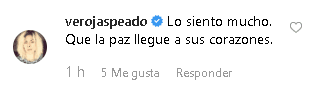 Así le escribió la actriz Verónica Jaspeado en Instagram.
