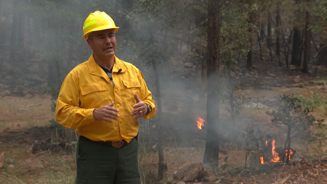 "Cuando las áreas forestales están muy densas, tratamos de reducir las áreas o los árboles para poder haber más espacio y no haya tanto árbol junto. De esa manera cuando llegue el incendio de esta área, no tiene tanto combustible", explicó el vocero Sergio Montañez de la Administracion de Incidentes del Area Sur Oeste.