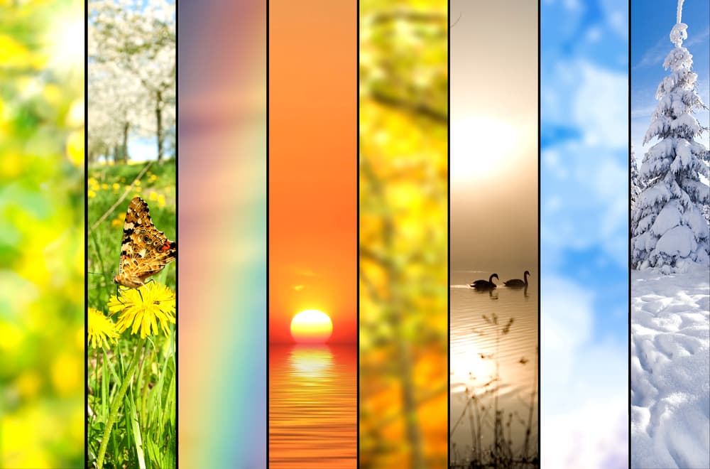 <b>¿Cómo calcularlos?</b>
<br>Calcular los Siete Ciclos del Año no es complicado. Simplemente toma un almanaque en tus manos, del año actual. Marca el día de tu nacimiento –cumpleaños- y a partir de esa fecha ve contando ciclos de 52 días cada uno. 
<br>