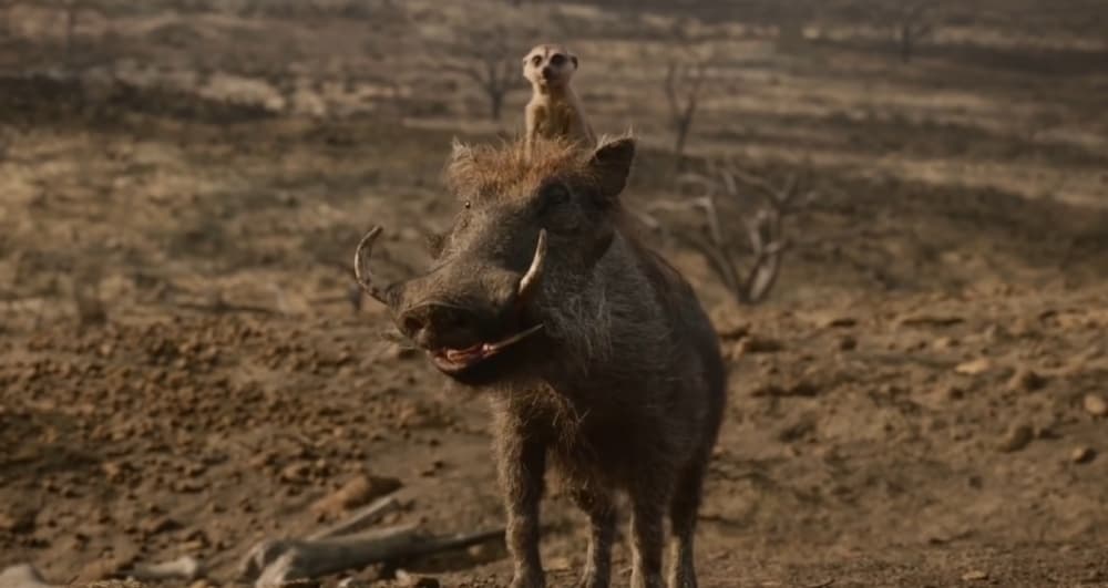 Si bien Timon no aparece en la película, la presencia de Pumbaa es un gran guiño para todos los fans que crecieron en la década de los 90.