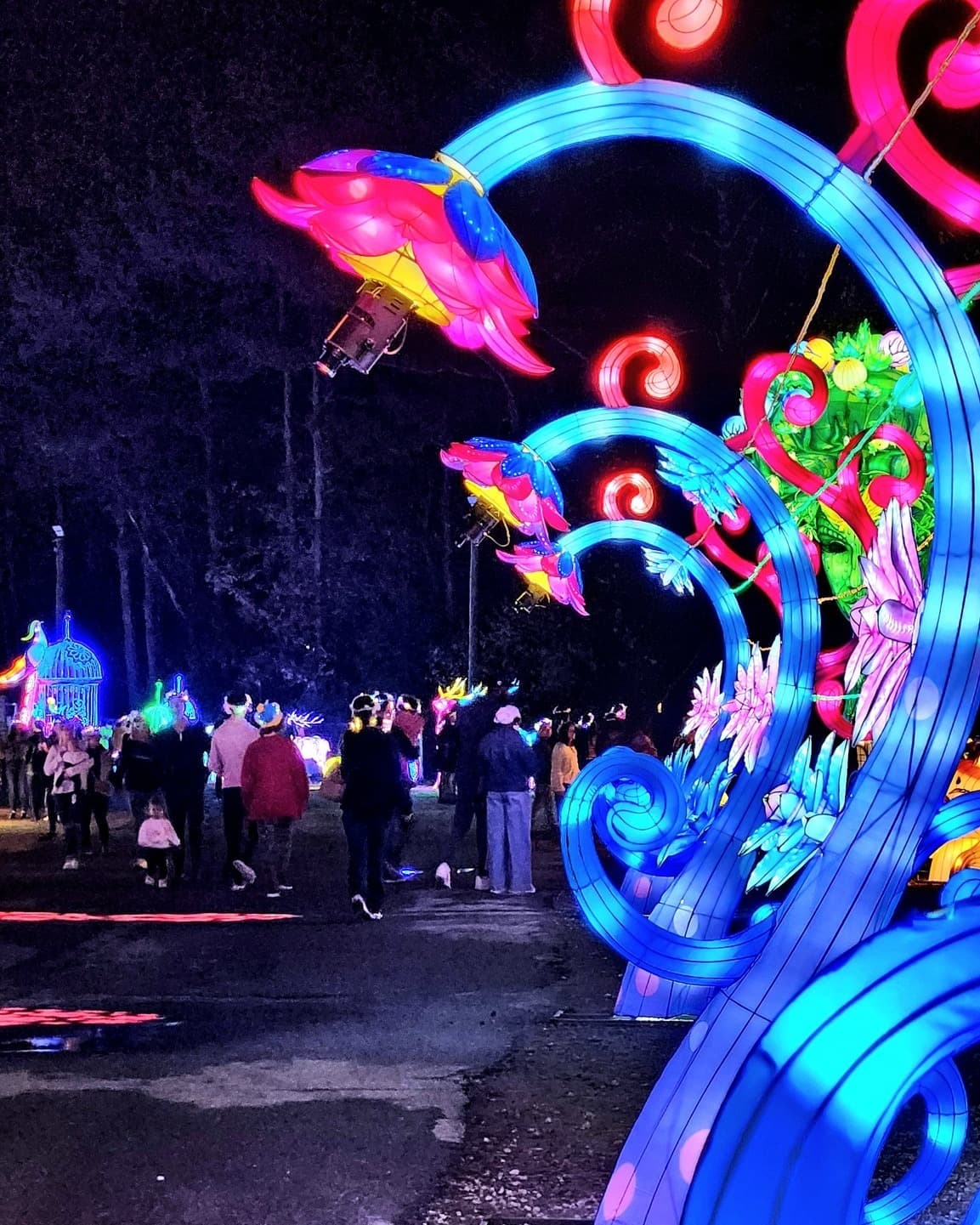 <b>Winter Lantern Festival - Gwinnett</b>
<br>
<b>Fechas</b>: 10 de noviembre – 2 de enero de 2024
<br>
<b>Lugar</b>: Gwinnett County Fairgrounds. 2405 Sugarloaf Parkway. Lawrenceville, GA
<br>
<b>Sitio web</b>:
<a href="https://winterlanternfestival.com/atlanta/">https://winterlanternfestival.com/atlanta/</a>
<br>
<br>El evento presenta más de 1,000 linternas y luces chinas hechas a mano repartidas en seis acres, incluido un reino animal, un mundo marino y un parque temático.