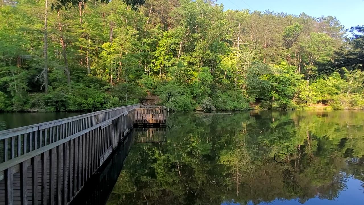 El parque también ofrece senderos locales y otros que conducen a Anna Ruby Falls y Helen.