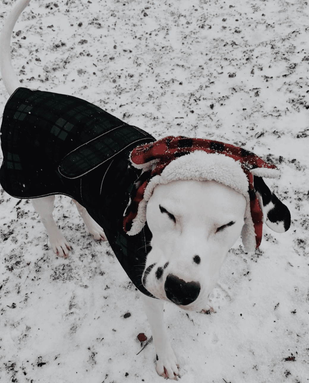 La primera nevada de 2020 vino acompañada de fuertes vientos tras el paso de un frente frío.