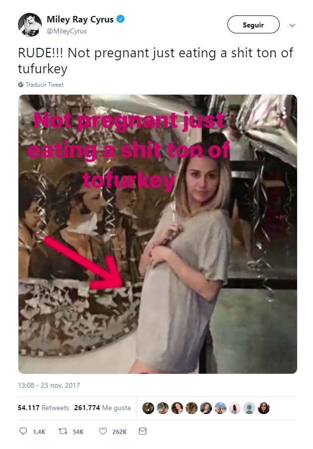 Entonces la intérprete de ‘Wrecking Ball’ dijo: “¡Groseros! No estoy embarazada, solo he comido un montón de pavo de tofu”. 
<br>