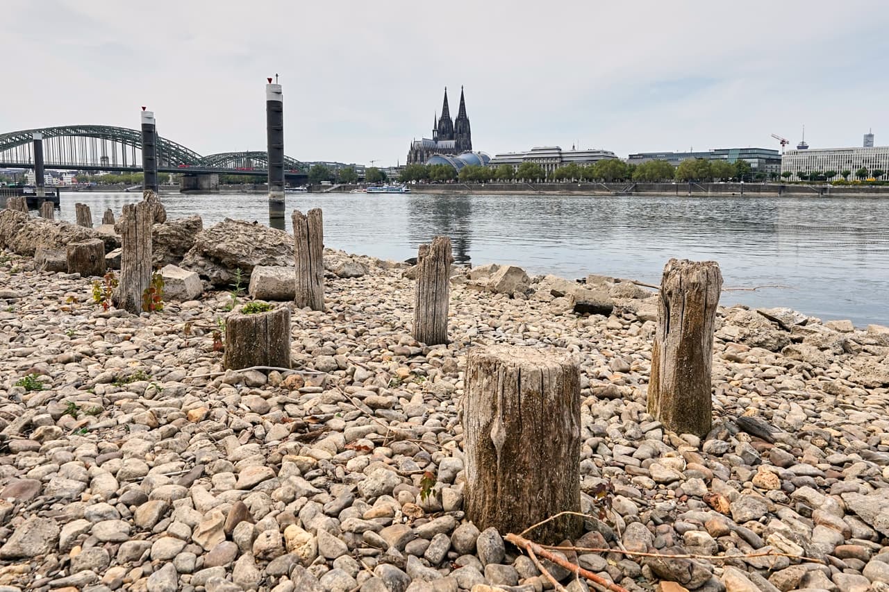 Los restos del puente Patton, construido tras la Segunda Guerra Mundial, quedan al descubierto debido a los niveles históricamente bajos del río Rin —causados por una ola de calor y una sequía prolongada— frente a la catedral de Colonia, en Colonia (Alemania), el lunes 3 de agosto de 2026.