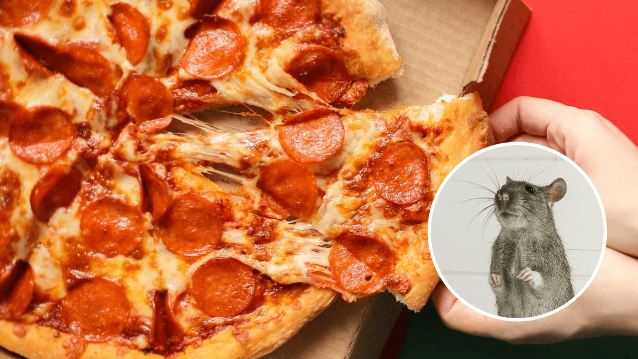 Encuentran excremento de roedor en una pizzería famosa de Fort Worth