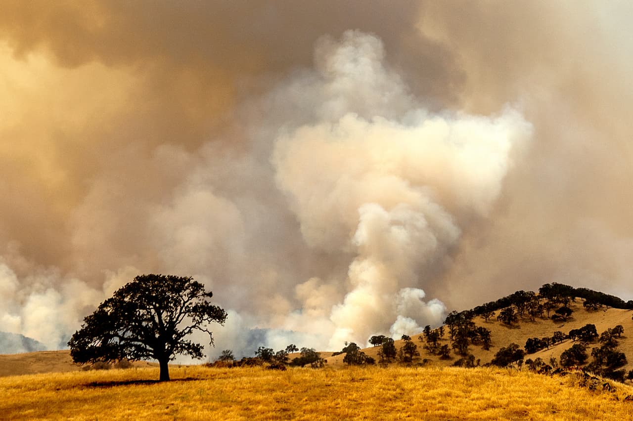 Alrededor de 20 conflagraciones que arden en los condados de Santa Clara, Alameda y Contra Costa, entre ellas 
<a href="https://www.univision.com/local/san-francisco-kdtv/incendios-causados-por-las-tormentas-electricas-provocan-evacuaciones-en-varios-condados-del-area-de-la-bahia" target="_blank">los incendios Marsh y el Deer Zone</a>, fueron consolidados por la agencia Cal Fire y bajo el nombre de 
<a href="https://www.fire.ca.gov/incidents/2020/8/18/scu-lightning-complex/" target="_blank">SCU Lightning Complex han calcinado 25,000 acres</a> de terreno.