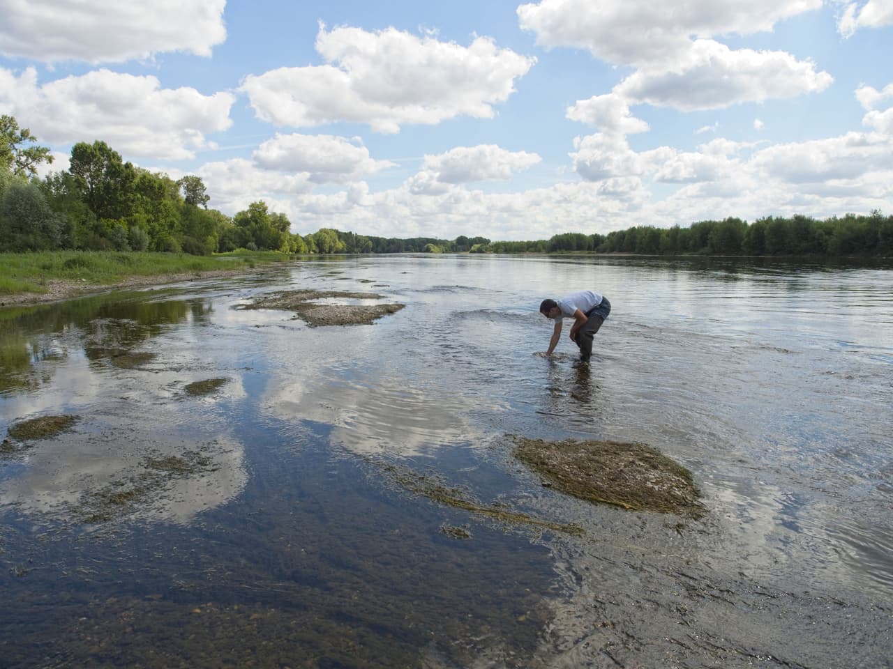 El Loira, en Francia, se extiende a lo largo de unas 600 millas (965 kilómetros) y se considera el último río salvaje de Francia, que alberga ecosistemas biodiversos en todo el valle.