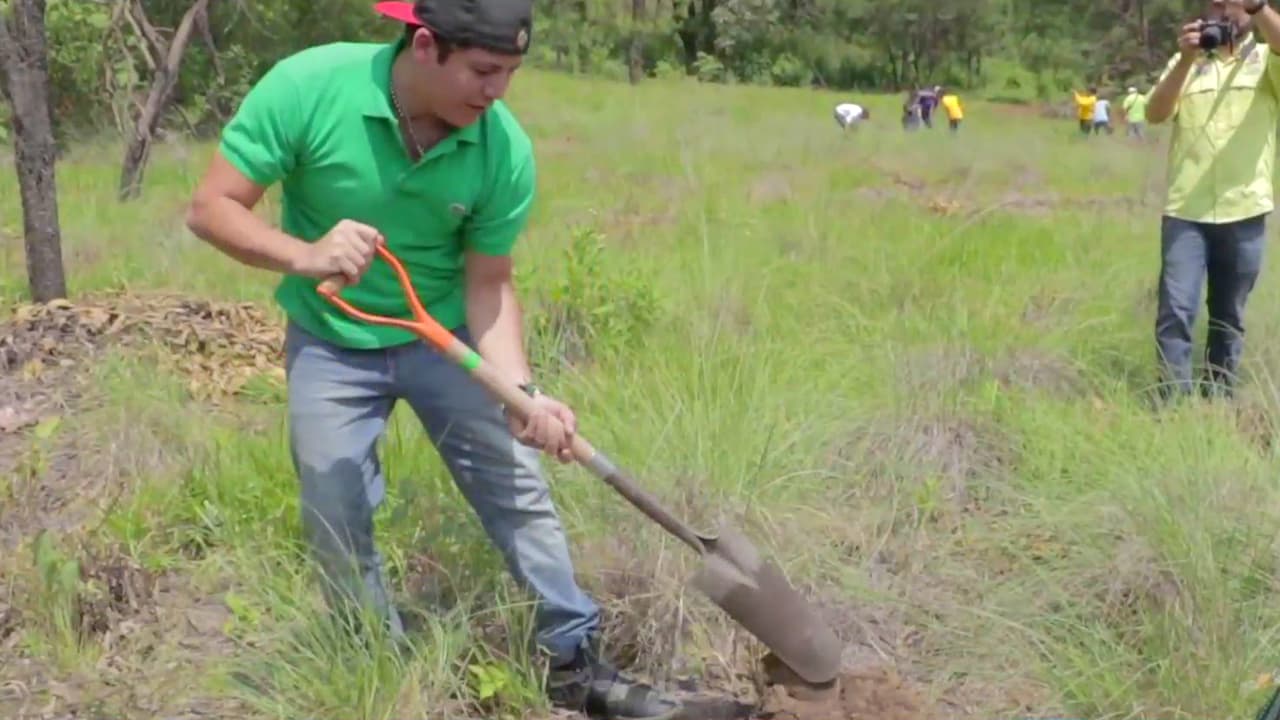 Nos encontramos a Remmy Valenzuela sembrando árboles y te contamos por qué