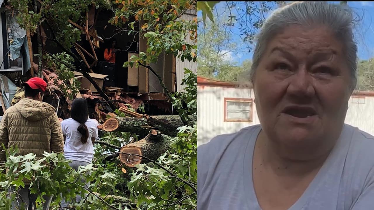“Dios me protegió”: dice hispana que dormía en el cuarto donde cayó el árbol que mató a un joven de 22 años