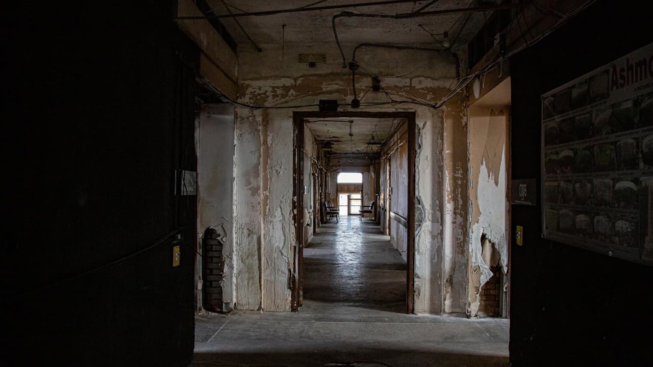 Sin embargo, Ashmore Estates también ha sido testigo de varias tragedias, particularmente incendios, como el que supuestamente 
<b>cobró la vida de una niña en 1880.</b>