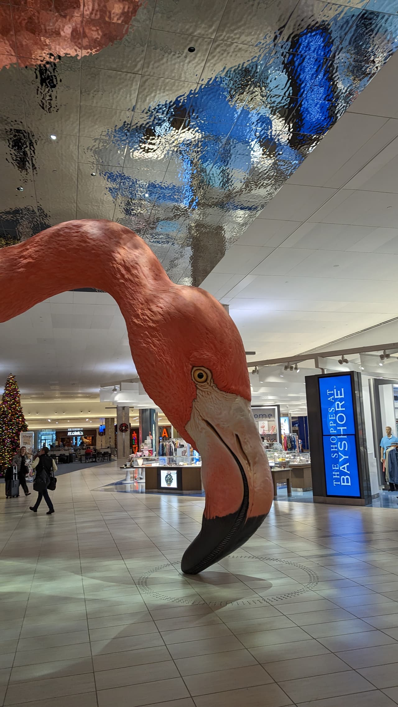 De acuerdo con información oficial del aeropuerto, se registraron más de 37 mil votos entre los tres nombres finalistas: Cora, Finn, y Phoebe, siendo este último el ganador.