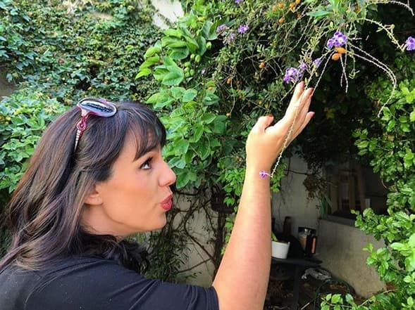 Días después del 
<b><a href="https://www.univision.com/noticias/america-latina/muere-jose-jose-el-principe-de-la-cancion-a-los-71-anos" target="_blank">fallecimiento de José José,</a></b>
<a href="https://www.univision.com/noticias/america-latina/muere-jose-jose-el-principe-de-la-cancion-a-los-71-anos" target="_blank"> </a> el 28 de septiembre de 2019, su hija Marysol Sosa supo que estaba embarazada y fue hasta que tuvo 15 semanas de gestación que la cantante compartió la noticia con los medios de comunicación.