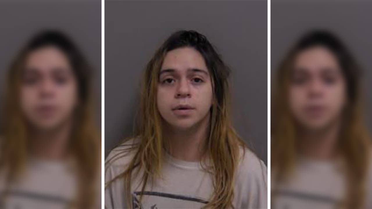 Acusan a un joven de Palos Heights por posesión de pornografía infantil