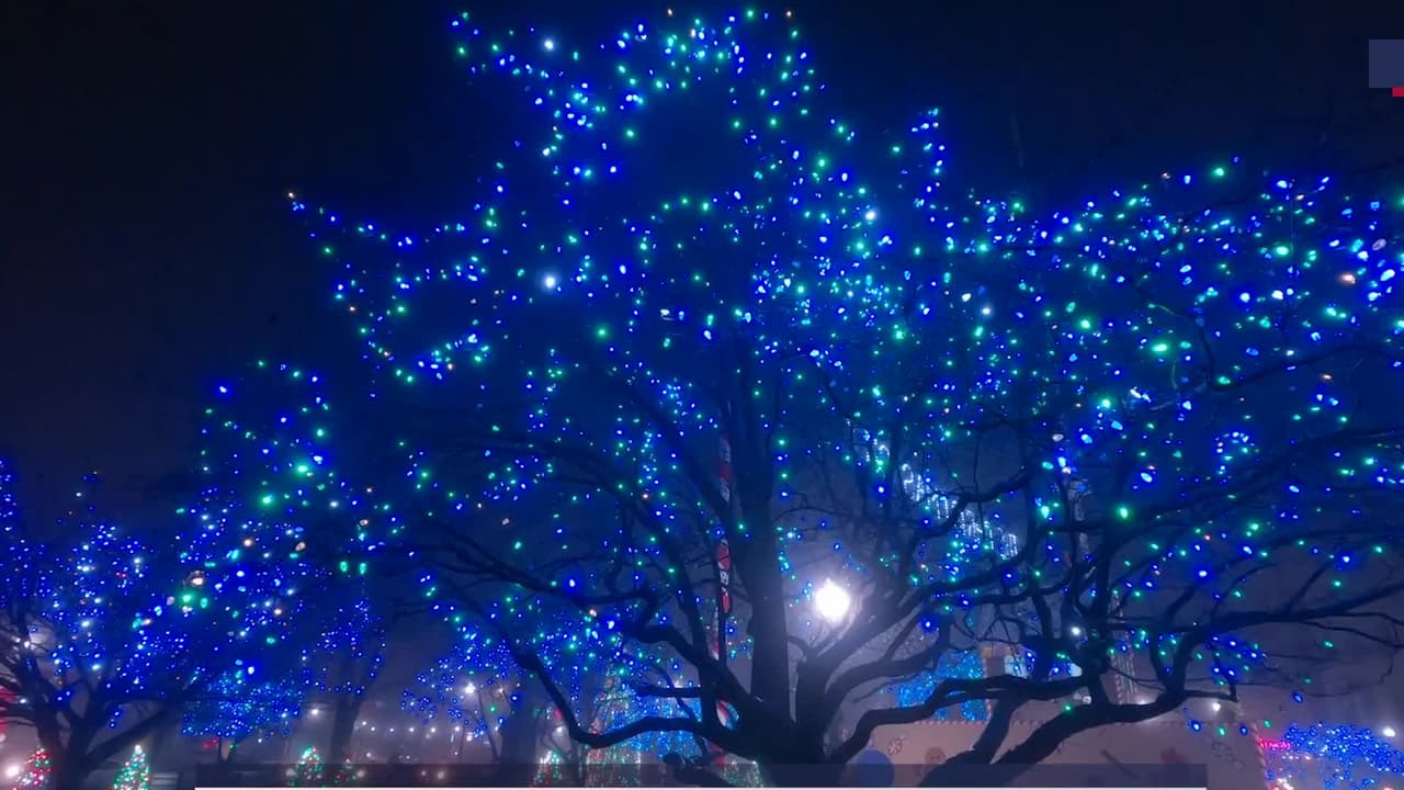 Regresan al condado de Los Ángeles los coloridos 
<a href="https://www.univision.com/local/los-angeles-kmex/zoologico-de-los-angeles-luces-de-navidad-fotos">paseos de Navidad</a>. Muchos de estos eventos fueron cancelados en 2020 debido a las limitaciones impuestas por el coronavirus.