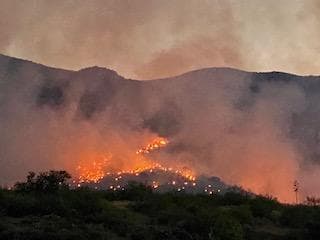 “Las tripulaciones aprovecharán las condiciones climáticas favorables para continuar con las operaciones de agotamiento al sur de Oracle y en el Mt. Lemmon. Como resultado, las comunidades pueden esperar ver humo”, indican funcionarios del Servicio Forestal de Coronado este 20 de junio.
<br>